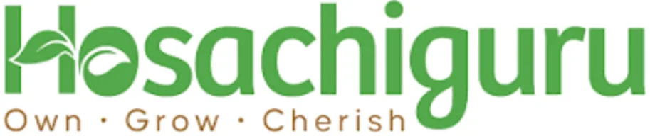 Hosachiguru